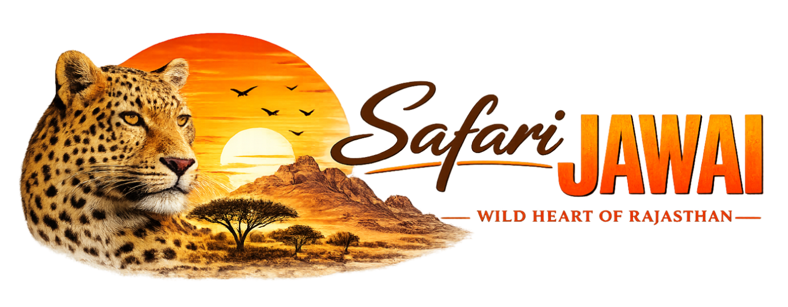 Jawai Safari